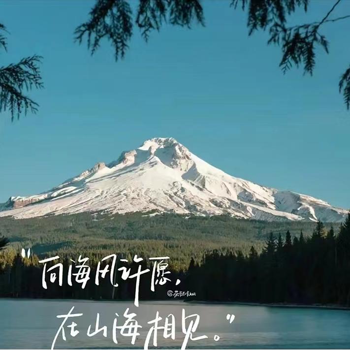 网站Logo